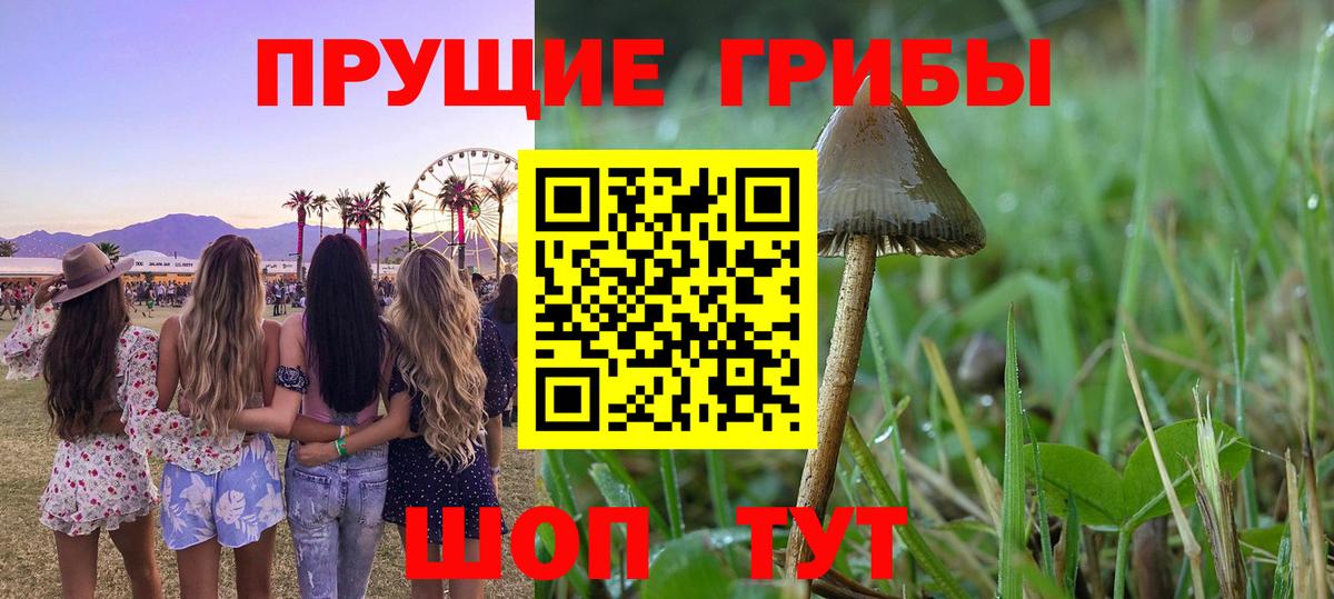 купить   Галлюциногенные грибы GOLDEN TEACHER  Вход с VPN  Нефтеюганск 